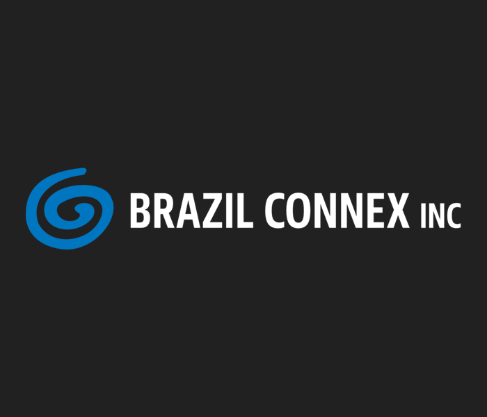 Brazil Connex Comercio Importacao e Exportacao Ltda